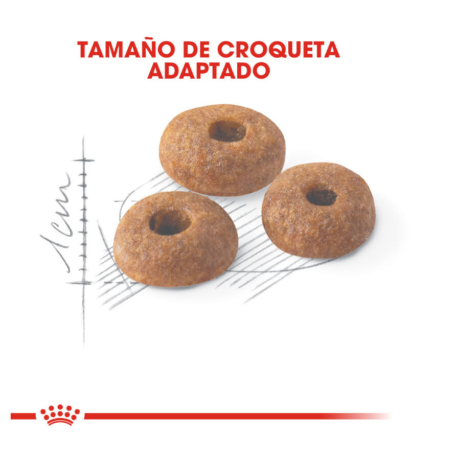 Royal Canin Regular Fit 32 pienso para gatos thumbnail