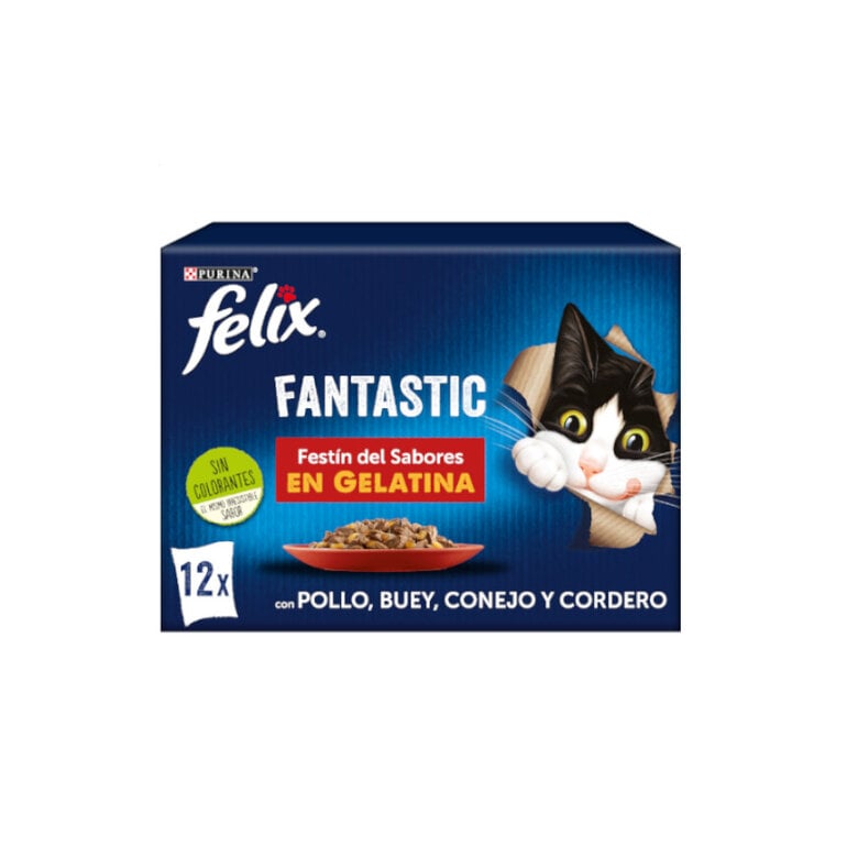 12 sobres x 85 g Felix Fantastic Carne en Gelatina sobre para gatos,  Imagen numero 1 12 sobres x 85 g Felix Fantastic Carne en Gelatina sobre para gatos, , large Imagen numero 1