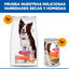 14 kg Hill's Science Plan Perfect Digestion Adult Medium Pollo pienso para perros, , large indicador imagen numero 7