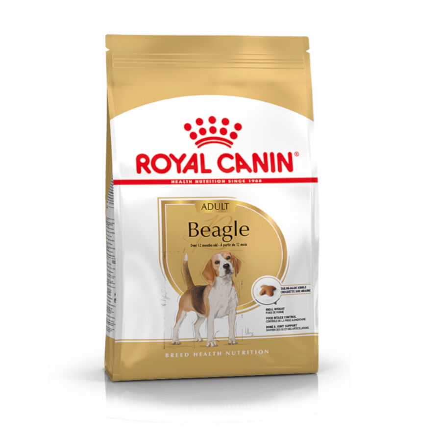 Royal Canin Adult Beagle pienso para perros thumbnail