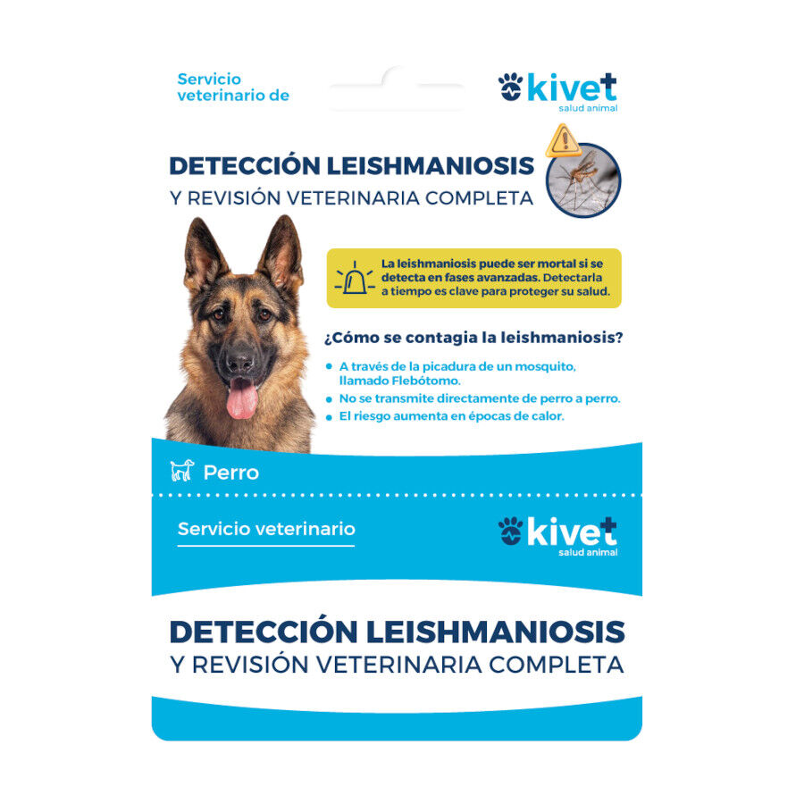 Tarjeta Veterinaria Prevenci&oacute;n Leishmaniosis para perros, , large Imagen numero 1