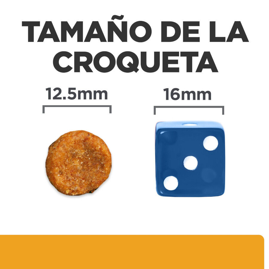12 kg Hill's Prescription Diet Urinary Care c/d Pollo pienso para perros, , large Imagen numero 6