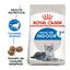 3.5 kg Royal Canin Home Life Indoor 7+ pienso para gatos, , large indicador imagen numero 2