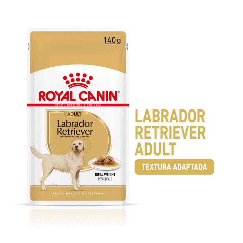 140 g Royal Canin Labrador Sobres para perros,  Imagen numero 2 140 g Royal Canin Labrador Sobres para perros, , large Imagen numero 2