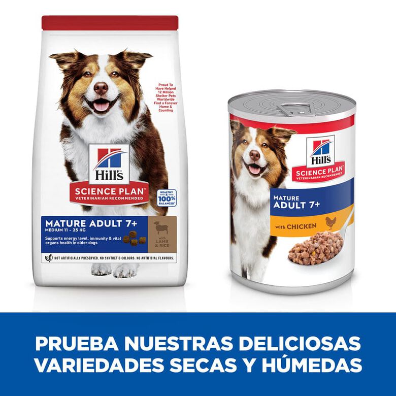 Hill&#039;s Science Plan Mature Adult Medium Cordero pienso para perros thumbnail