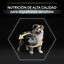 Pro Plan Puppy  Medium Digestión Cordero pienso para perros, , large indicador imagen numero 8