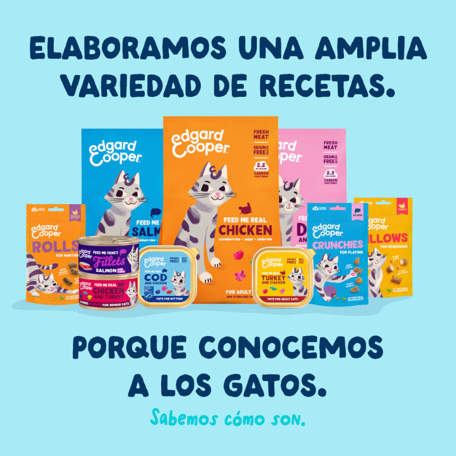 70 g Edgard & Cooper Filetes de At&uacute;n y Calamar lata para gatos, , large Imagen numero 8