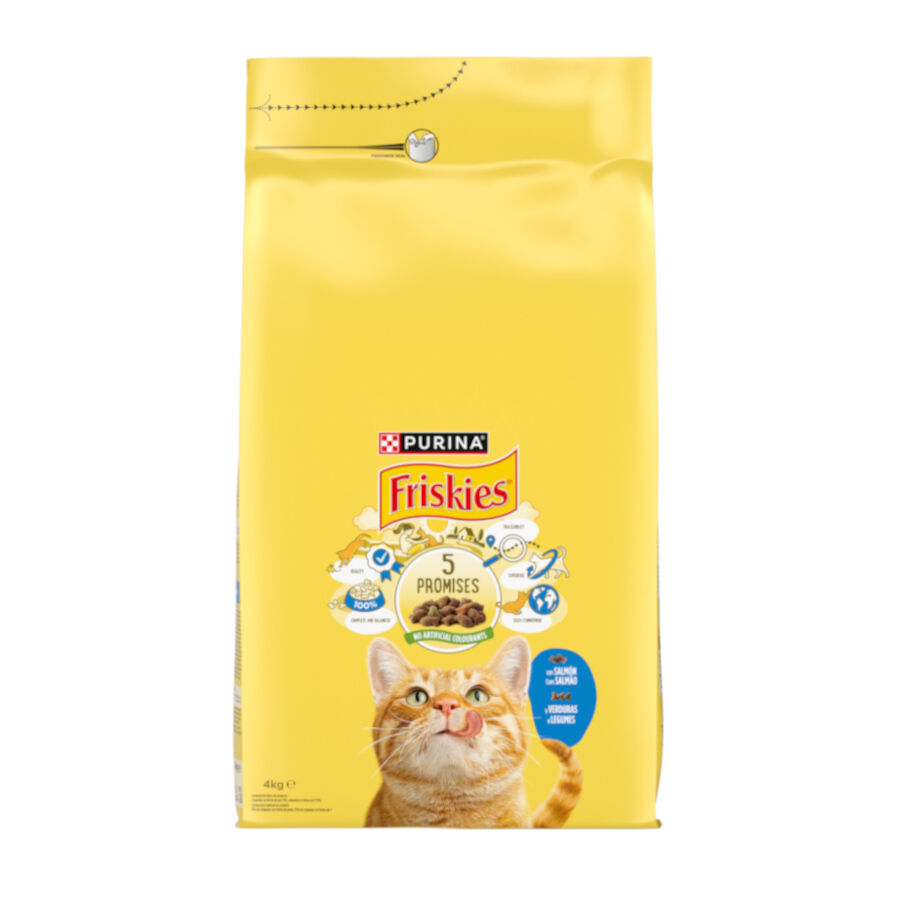 Purina Friskies Adult Pienso para gatos con salmón y verduras thumbnail