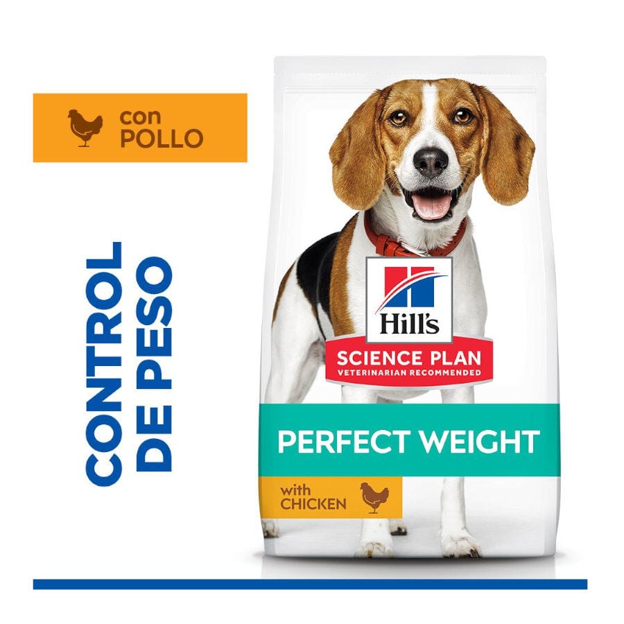 12 kg Hill's Science Plan Perfect Weight Adult Medium Pollo pienso para perros, , large Imagen numero 2
