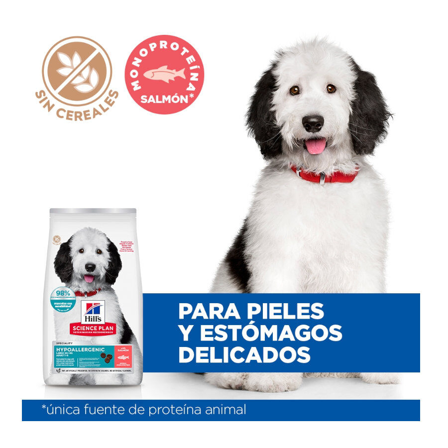 14 kg Hill's Science Plan Hipoalerg&eacute;nico Large Salm&oacute;n pienso para perros, , large Imagen numero 5