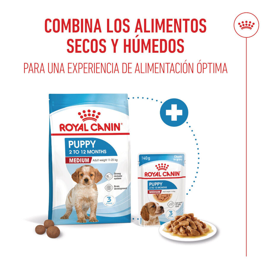 Royal Canin Puppy Medium pienso para cachorros thumbnail