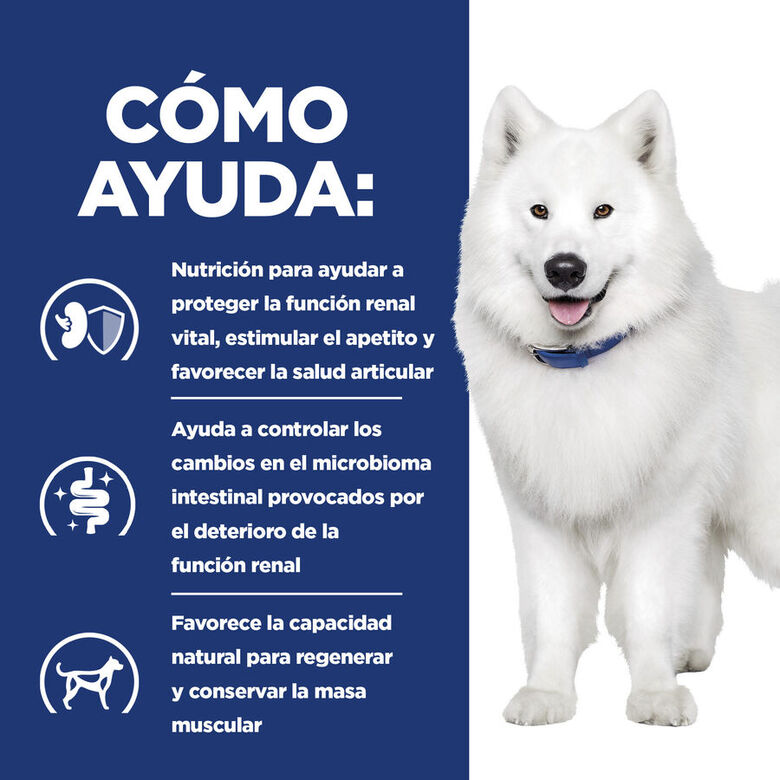 Hill&#039;s Prescription Diet kidney + Mobility pienso para perros thumbnail