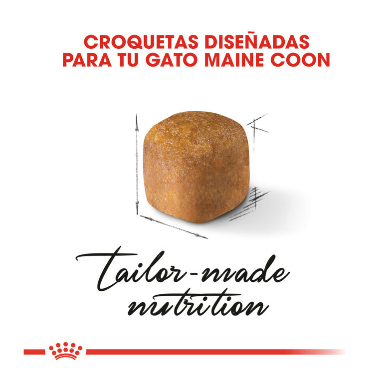 Royal Canin Kitten Maine Coon pienso para gatos, , large image number null