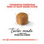 10 kg Royal Canin Kitten Maine Coon pienso para gatos, , large indicador imagen numero 5