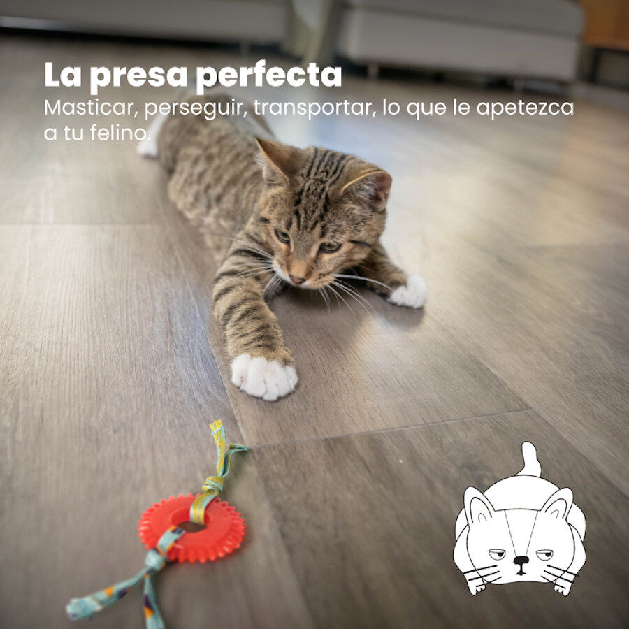 Catstages Kitty Chew Roja Rueda Mordedor para gatos, , large Imagen numero 2