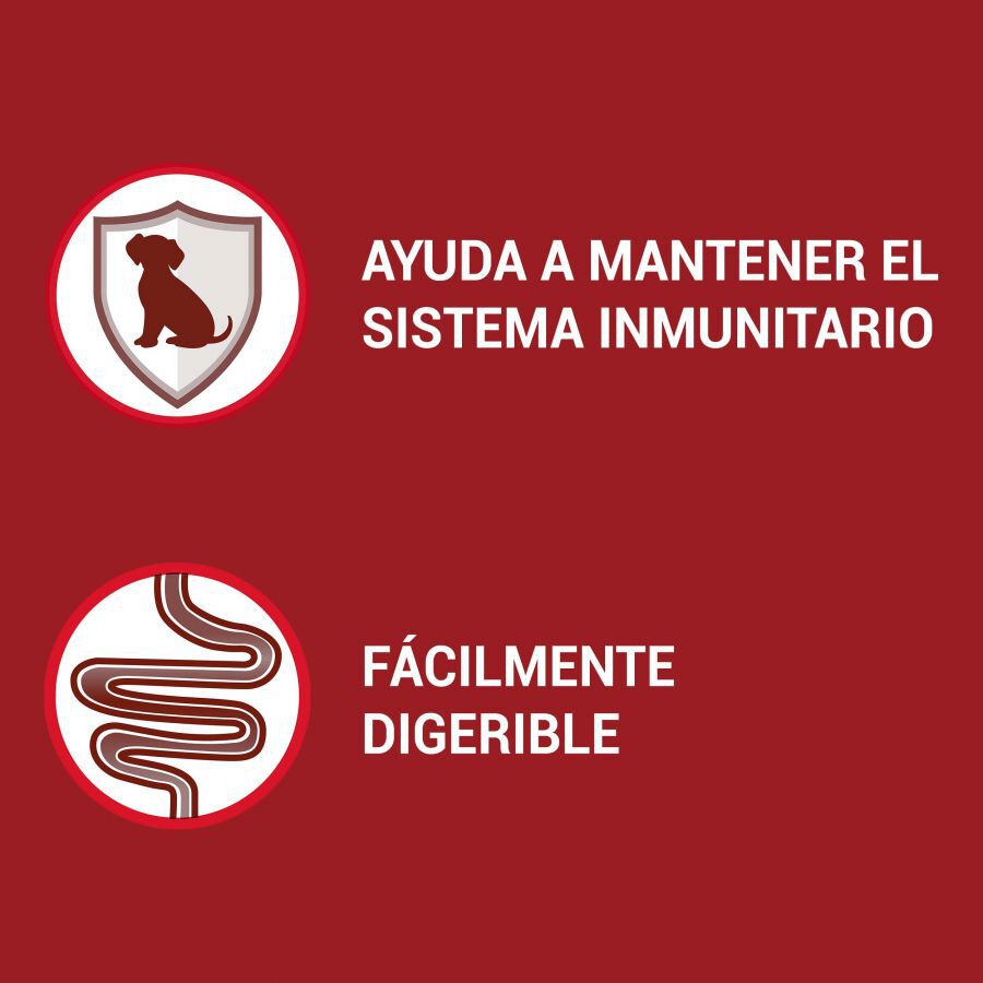 4 sobres x 100 g Purina One Mini Adult pollo y cordero sobres para perros , , large Imagen numero 3