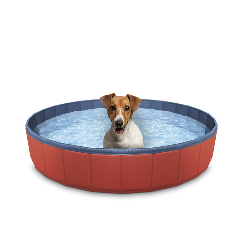 YISKY Piscina para Perros, Piscina de Baño para Mascotas, Piscina