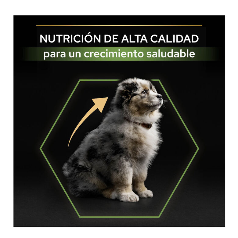 Pro Plan Puppy Medium Pollo pienso para Cachorros thumbnail