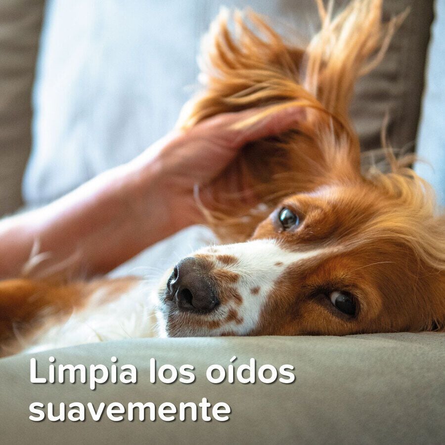 Beaphar Limpiador de Oídos para perros y gatos thumbnail