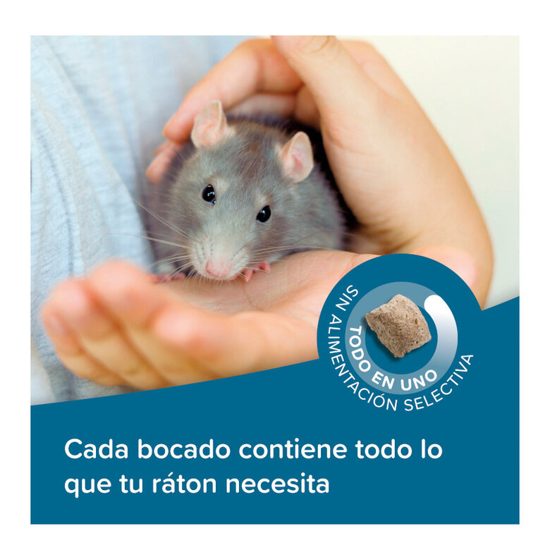 Beaphar Care+ Pienso para ratas,  Imagen numero 4 Beaphar Care+ Pienso para ratas, , large Imagen numero 4