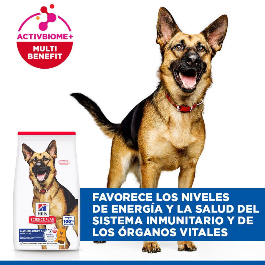 Hill&#039;s Science Plan pienso pollo para perros mayores de razas grandes thumbnail