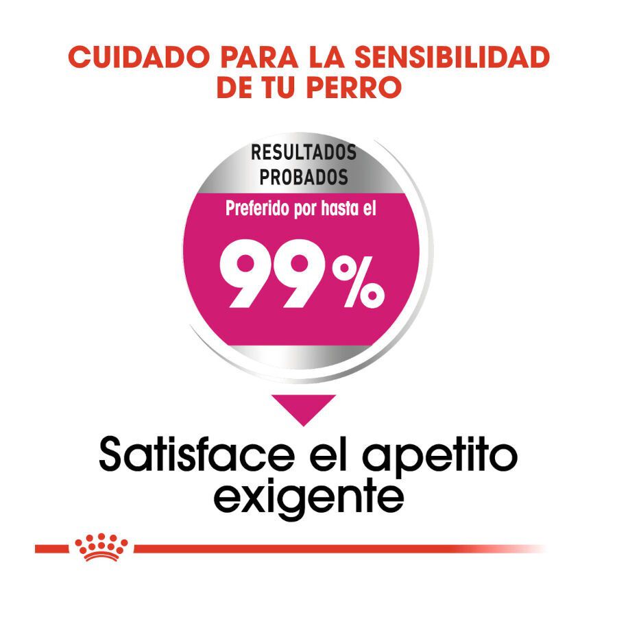 3 kg Royal Canin Exigent Mini pienso para perros, , large Imagen numero 6