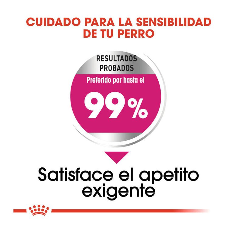 3 kg Royal Canin Exigent Mini pienso para perros,  Imagen numero 6 3 kg Royal Canin Exigent Mini pienso para perros, , large Imagen numero 6