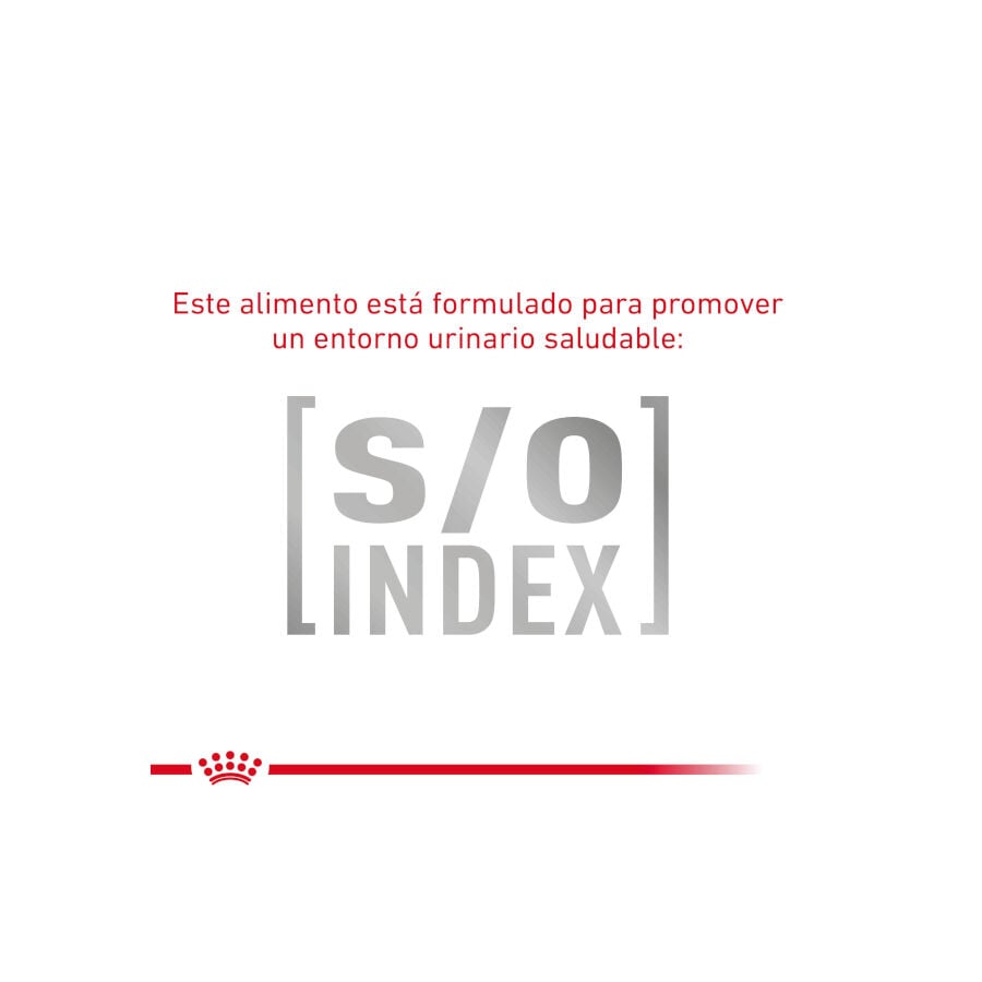 Royal Canin GastroIntestinal Low Fat pienso para perros pequeños thumbnail