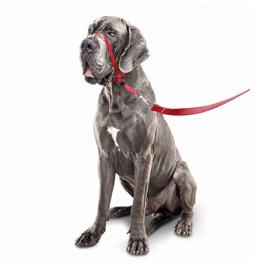 Beaphar Gentle Leader Collar de adiestramiento Rojo para perros thumbnail