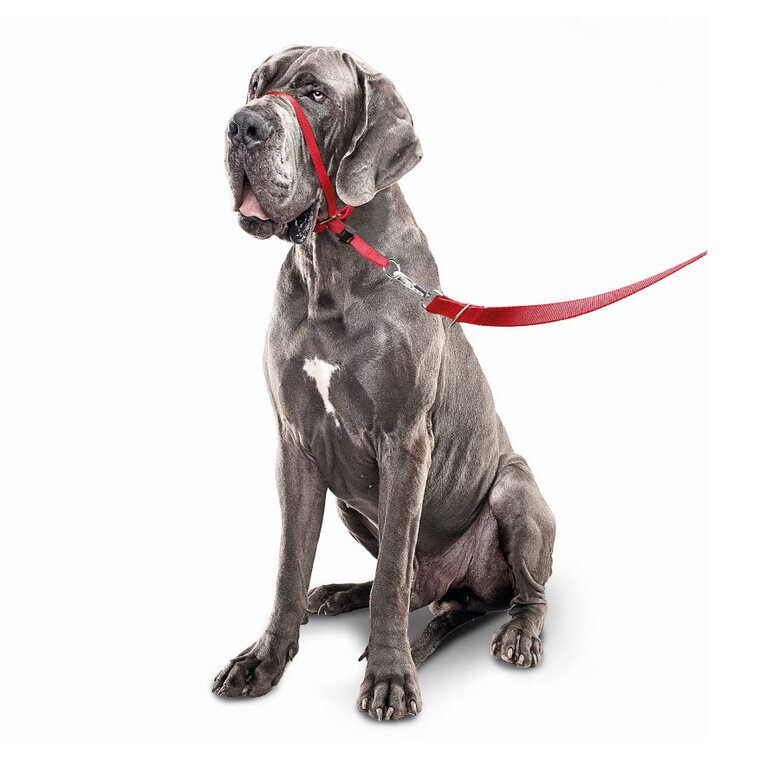 Beaphar Gentle Leader Bozal rojo para perros, , large image number null