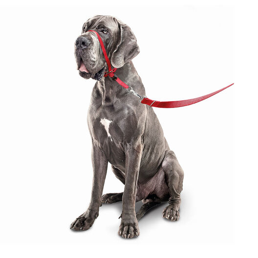 Beaphar Gentle Leader Collar de adiestramiento Rojo para perros, , large image number null