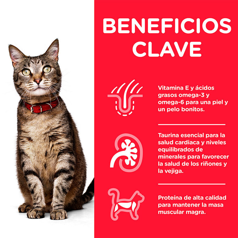 Hill&#039;s Science Plan Adult Pavo sobre para gatos thumbnail