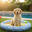 Summer Vibes Cama Refrescante Azul para perros, , large indicador imagen numero 1