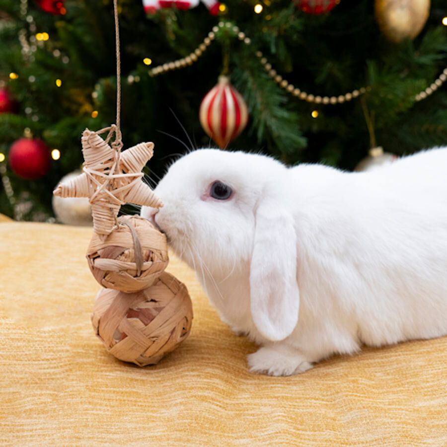 Rosewood Cupid and Comet Water Hyacinth Tr&iacute;o de mordedores para roedores , , large Imagen numero 2