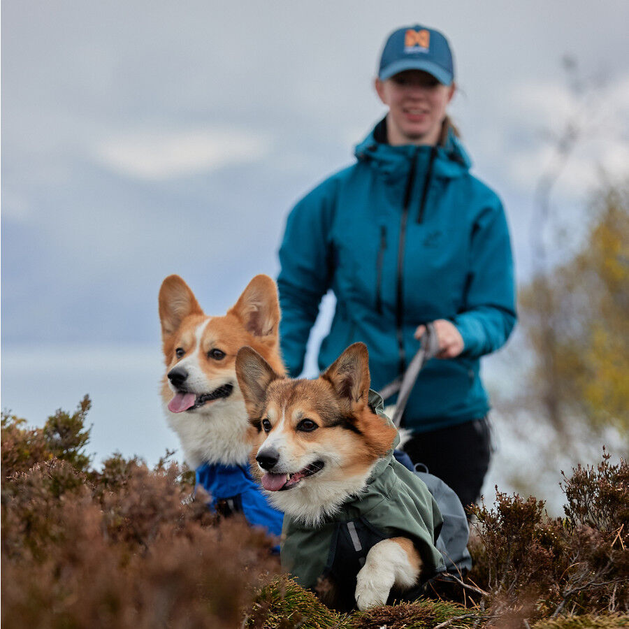 Non-stop dogwear Fjord Chubasquero Impermeable Azul para perros thumbnail