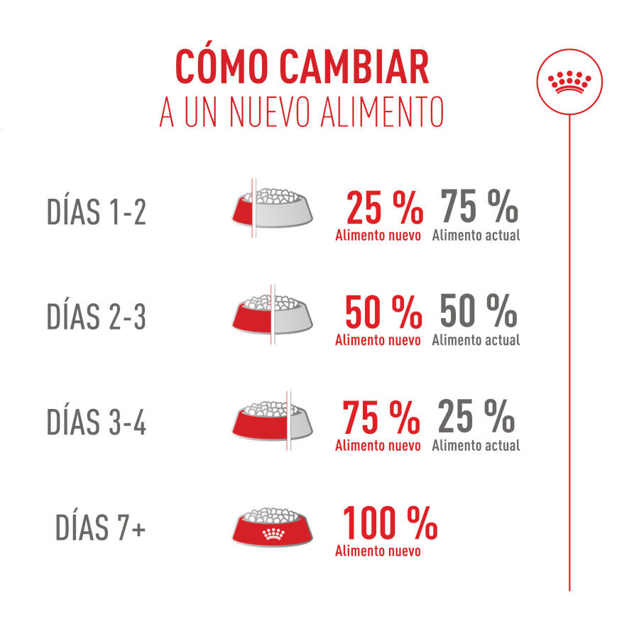 Royal Canin Fussy Exigent Pienso para gatos thumbnail