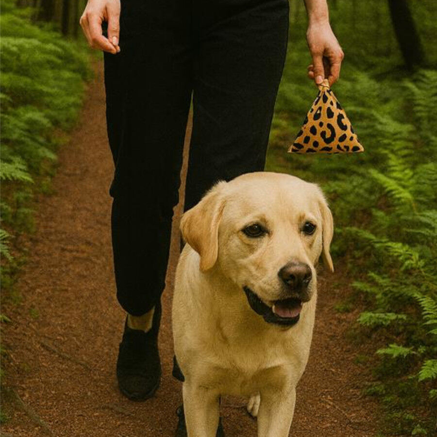 Nice Care Premium Bolsitas Print Rollos para perros thumbnail