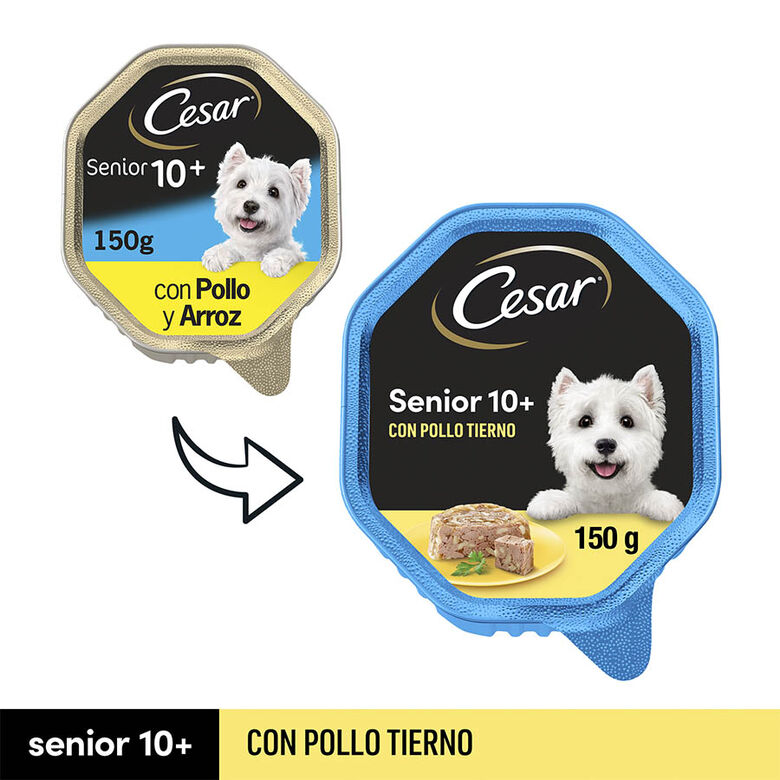 Cesar Pollo y Arroz Tarrina en Gelatina para Perros Senior thumbnail