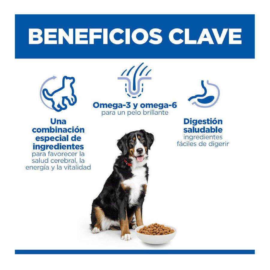 14 kg Hill's Science Plan Youthful vitality Large pienso para perros, , large Imagen numero 3