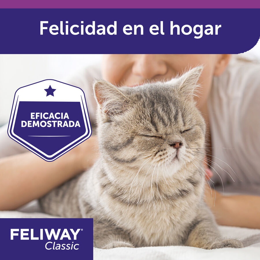 Feliway Classic Difusor y/o Recambio Tranquilizante para gatos thumbnail
