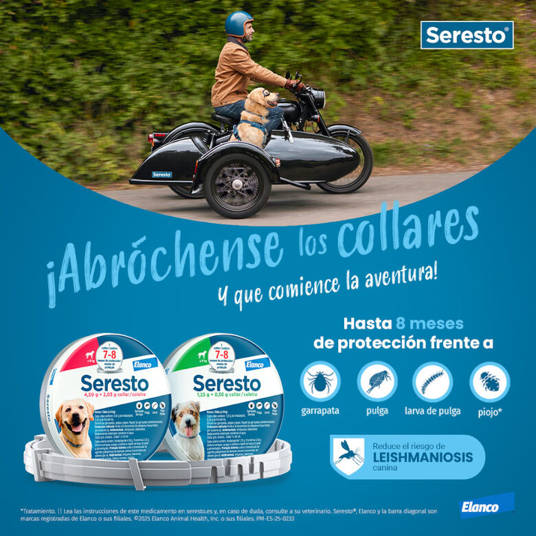 Seresto Collar Antiparasitario para perros thumbnail