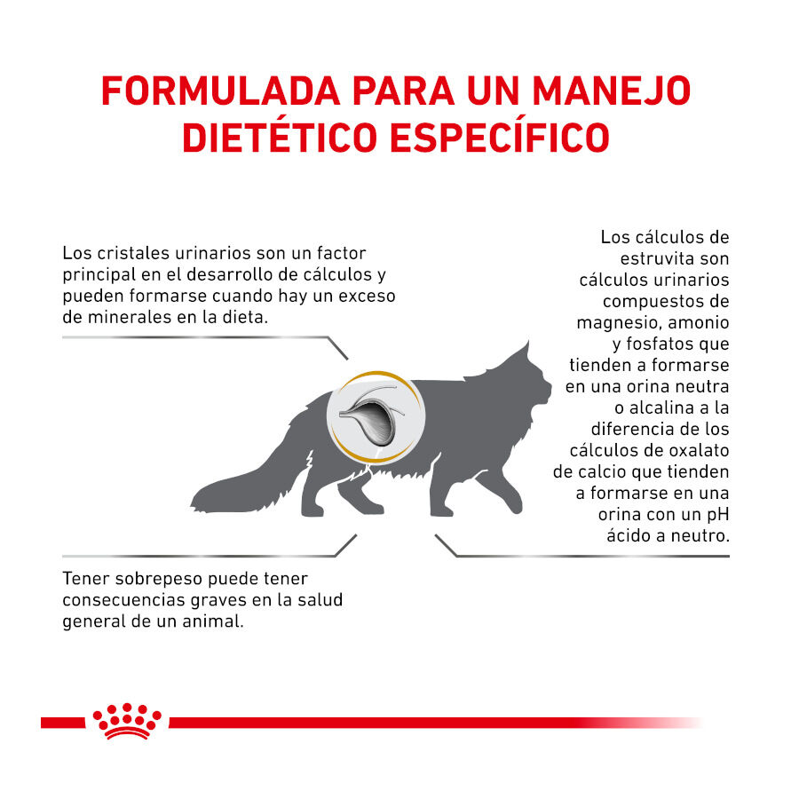 Royal Canin Veterinary Urinary Moderate Calorie pienso para gatos thumbnail