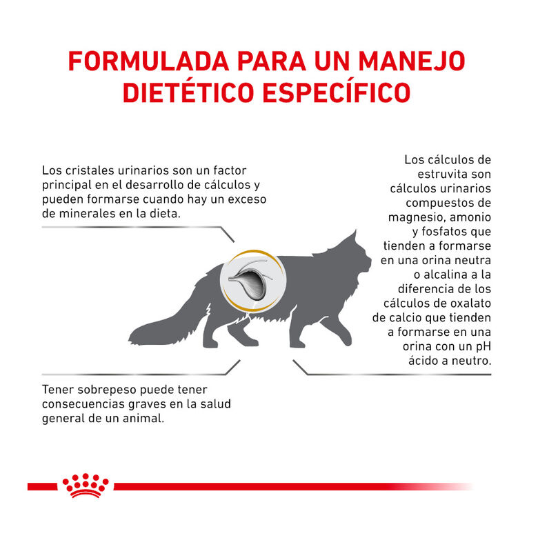 Royal Canin Veterinary Urinary Moderate Calorie pienso para gatos thumbnail