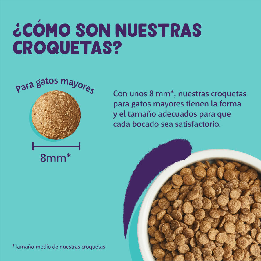 2 kg Edgard & Cooper Senior Pollo y Pavo pienso para gatos, , large Imagen numero 4