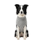 Gotoo Jersey de Punto Gris para perros, , large indicador imagen numero 7