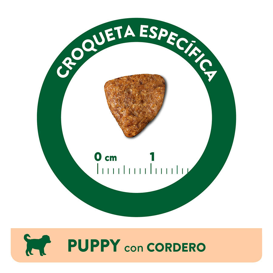 3 kg Libra Puppy Cordero y Arroz pienso para perros, , large Imagen numero 3