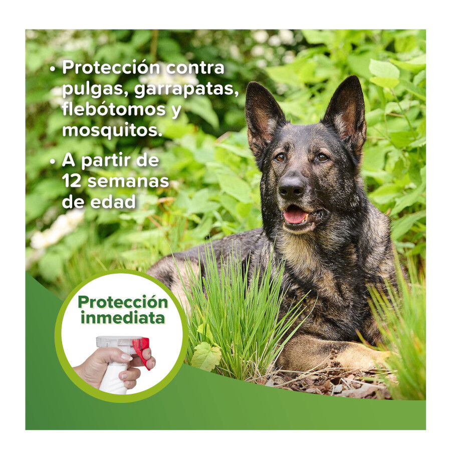 Beaphar Loción Repelente Perro y Gato thumbnail