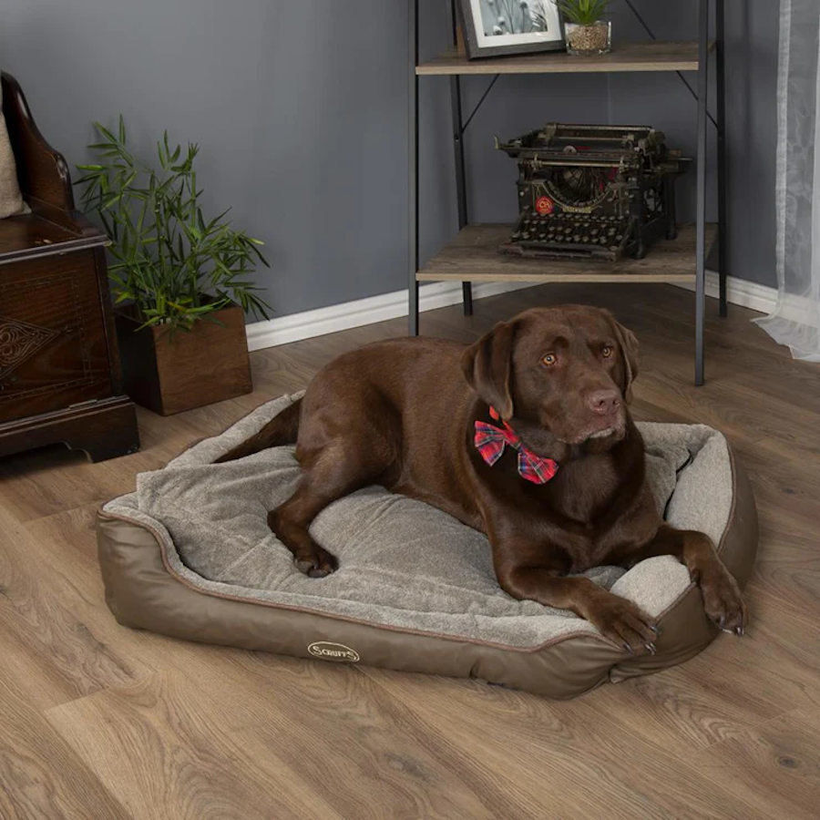 Cama ortopédica shop perro kiwoko