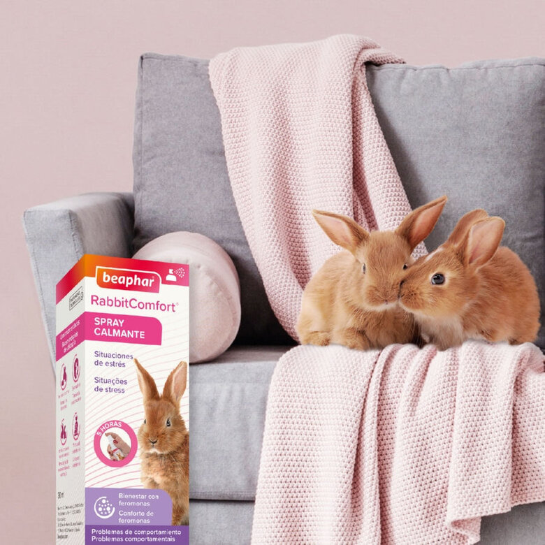 Beaphar RabbitComfort Spray Tranquilizante para conejos, , large image number null