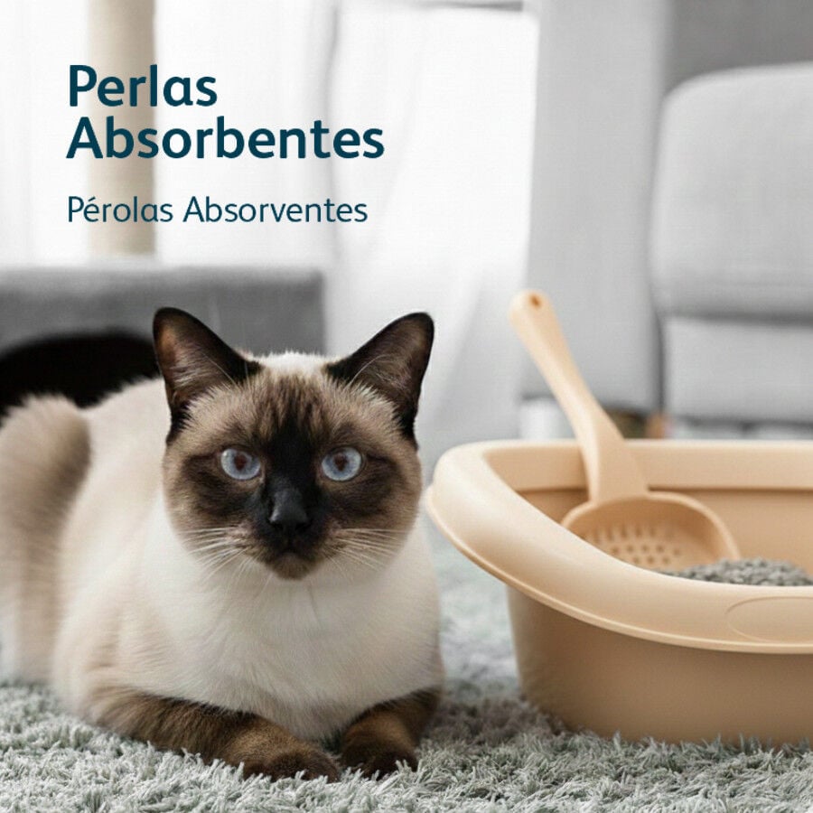16 L Nova Clean Perlas Absorbentes para gatos, , large Imagen numero 5